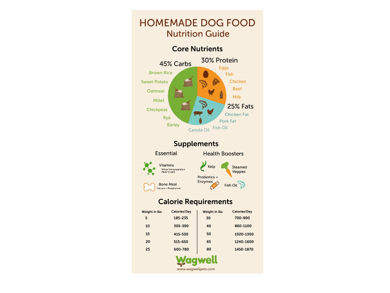 Dog Food: Nutrition Guide