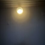 IMG 2581